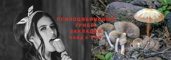 эйфоретик Аркадак