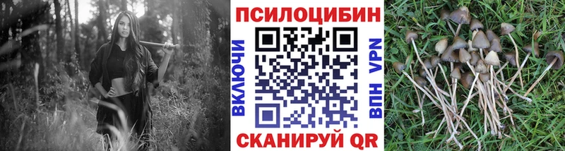 Галлюциногенные грибы мицелий  Нефтегорск 